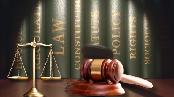 Dream Rise Education Consultants offering expert Immigration Legal Consulting for complex visa cases.