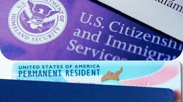 Client successfully holding their Permanent Residency documents after receiving Dream Rise Education Consultants support.